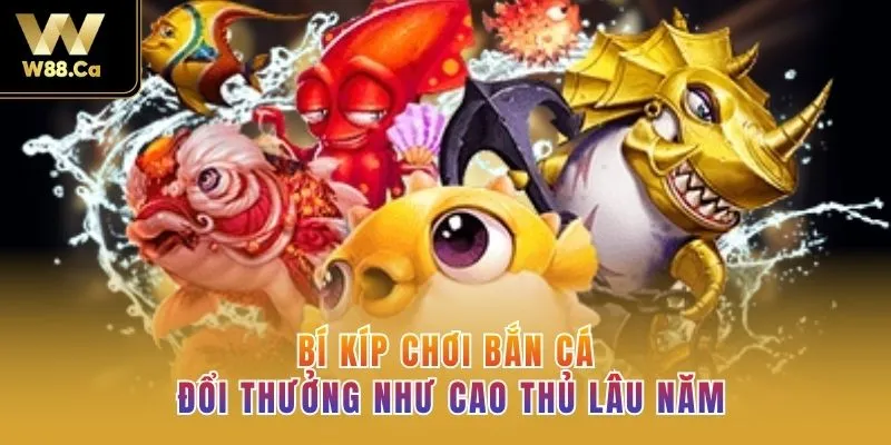 Bí kíp chơi bắn cá đổi thưởng như cao thủ lâu năm
