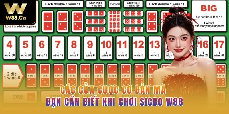 Các cửa cược cơ bản mà bạn cần biết khi chơi Sicbo W88
