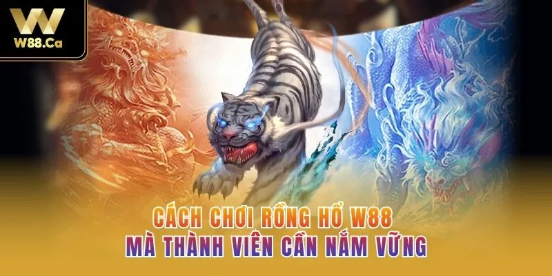 Cách chơi Rồng hổ W88 mà thành viên cần nắm vững