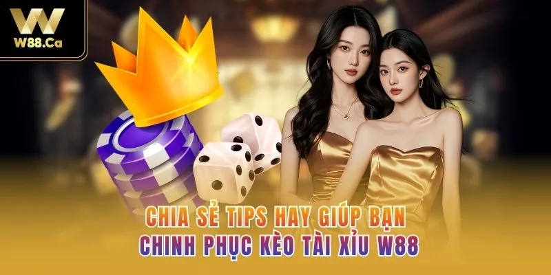 Chia sẻ tips hay giúp bạn chinh phục kèo Tài Xỉu W88