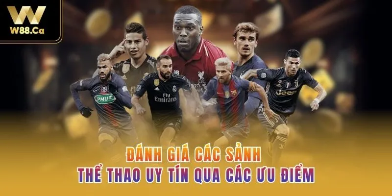 Đánh giá các sảnh thể thao uy tín qua các ưu điểm