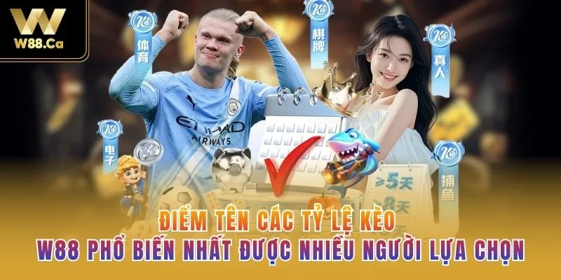 Điểm tên các tỷ lệ kèo W88 phổ biến nhất được nhiều người lựa chọn