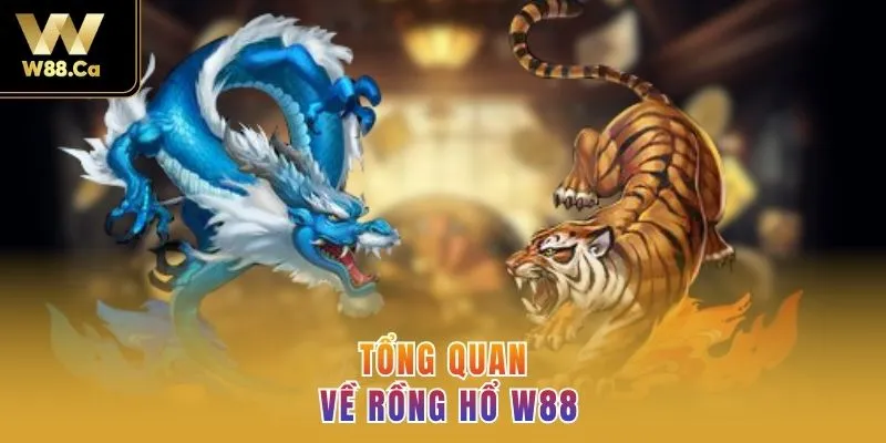Tổng quan về Rồng hổ W88